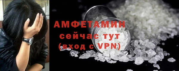 шишки Белокуриха
