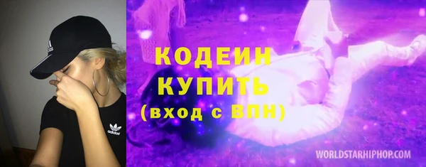 шишки Белокуриха