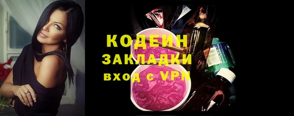 шишки Белокуриха