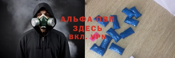 шишки Белокуриха