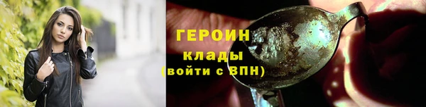 шишки Белокуриха