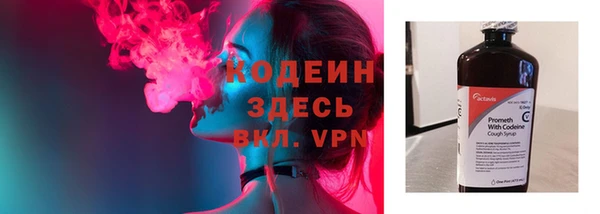 шишки Белокуриха