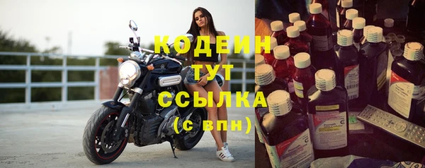 шишки Белокуриха