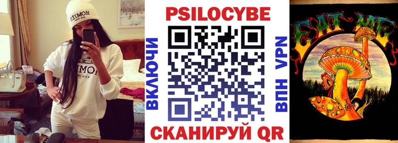 Псилоцибиновые грибы Cubensis  Купить где  Верхняя Тура 